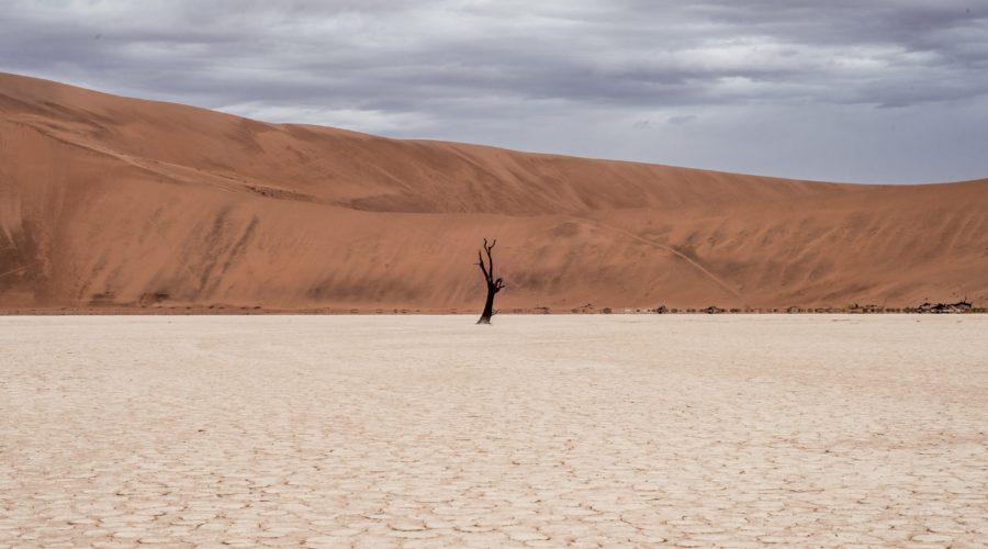 Waiting for Rain in the Desert